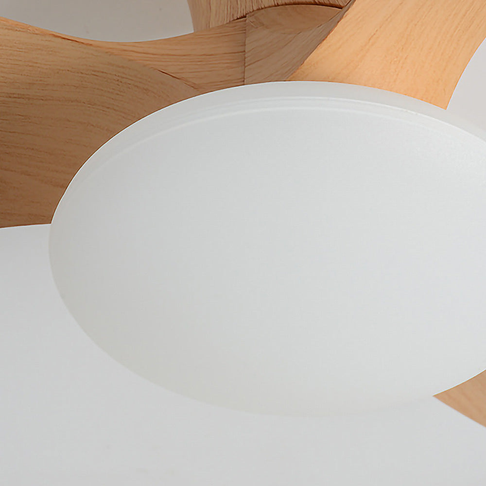 Elaria – Ventilateur de plafond en bois naturel