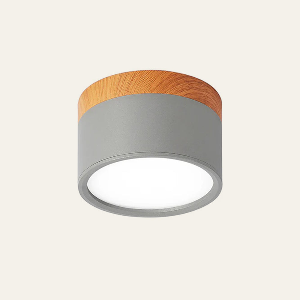 Elyon – Petite Lampe de Plafond Minimaliste