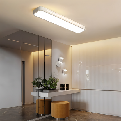 Niko – Lampe de plafond LED simple