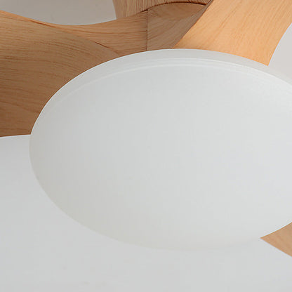 Elaria – Ventilateur de plafond en bois naturel