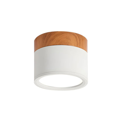 Elyon – Petite Lampe de Plafond Minimaliste