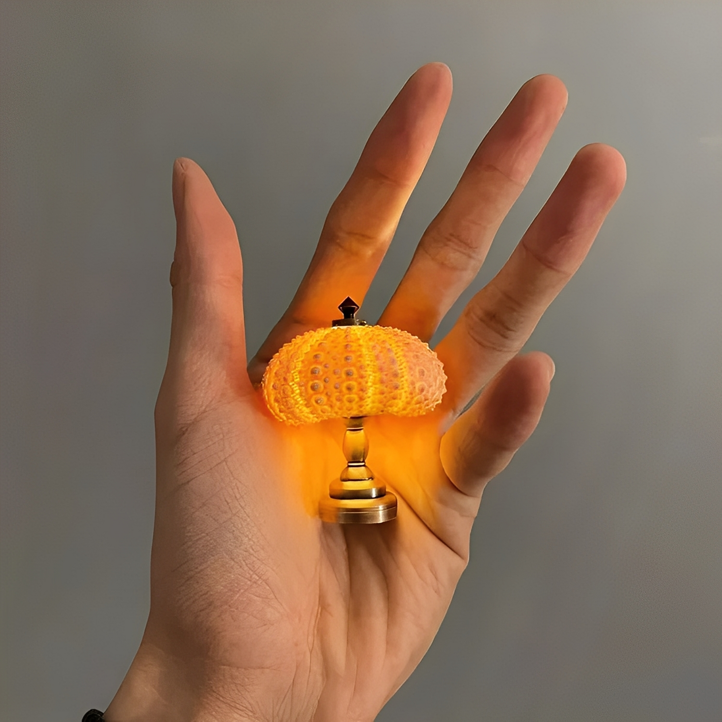 Nila – DIY Hérisson Lampe de Nuit
