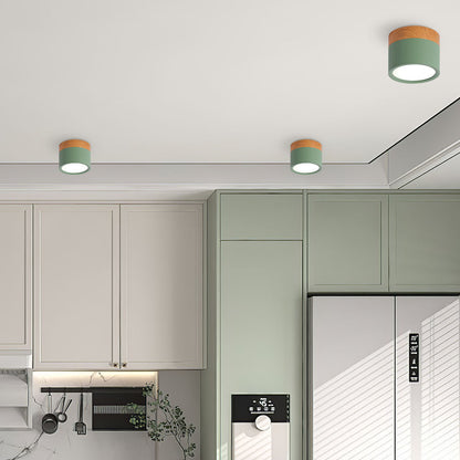 Elyon – Petite Lampe de Plafond Minimaliste