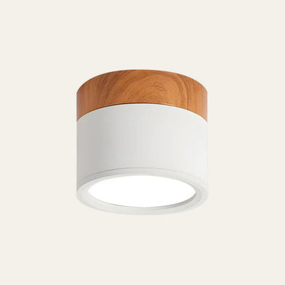Elyon – Petite Lampe de Plafond Minimaliste