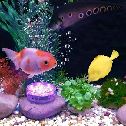 Lior – Lumière sous-marine LED