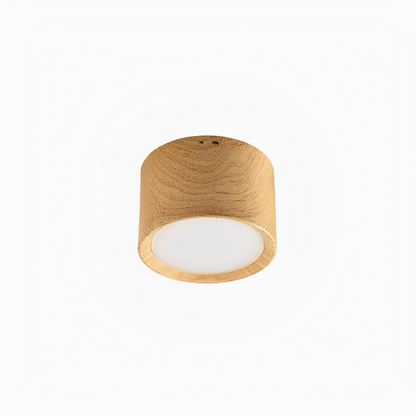 Norex – Lampe de plafond LED en surface