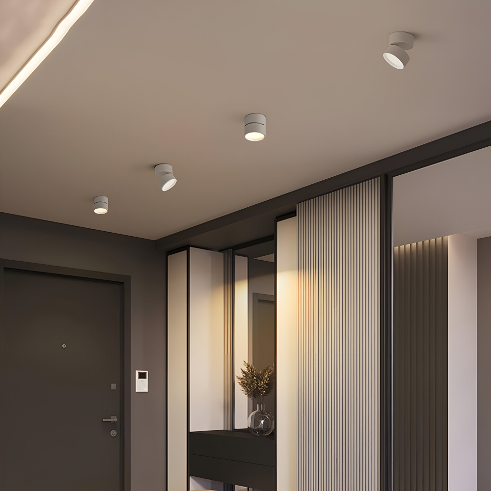 Juan – Lampe de plafond moderne