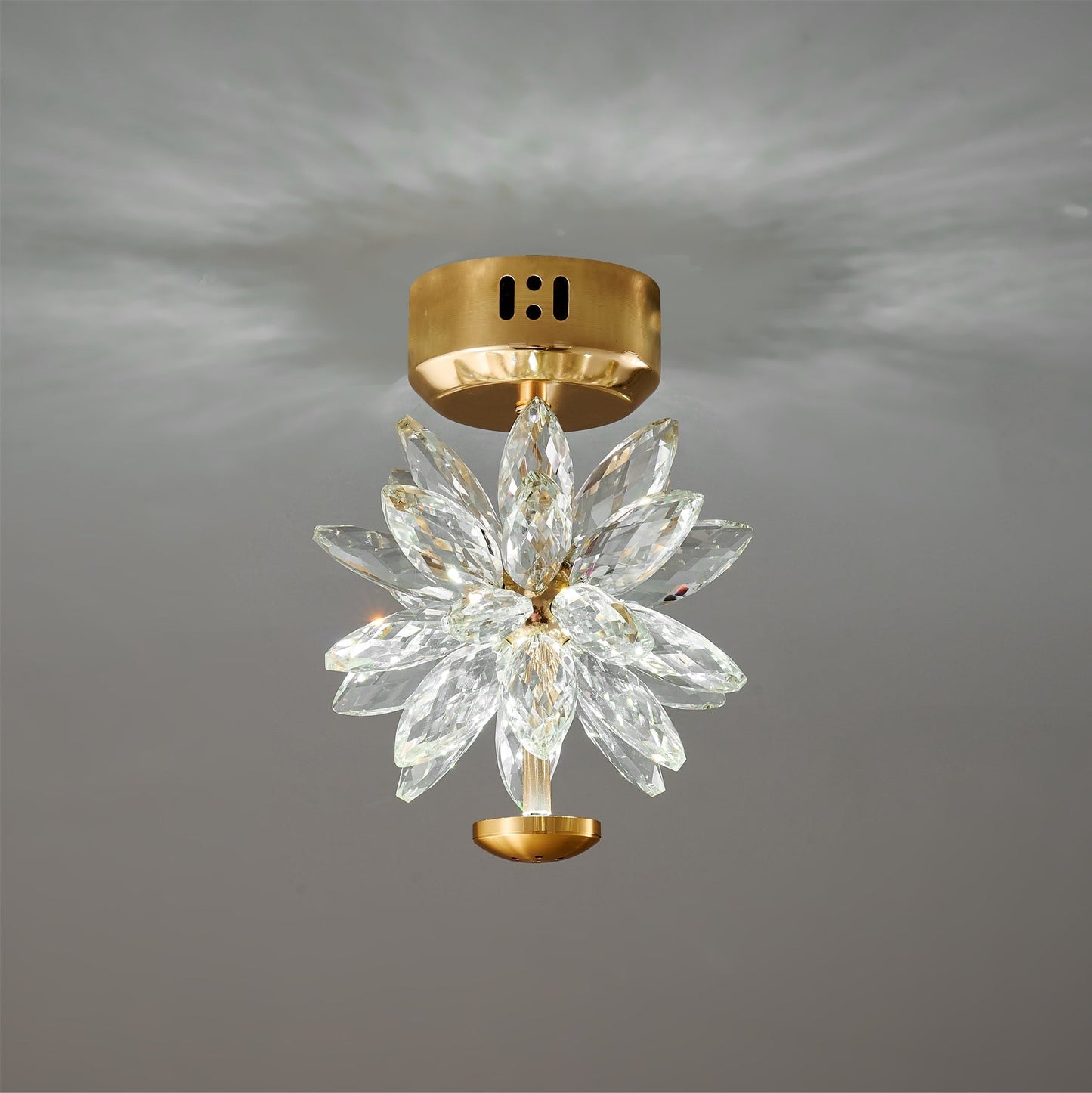 Glaidy – Fleur Plafonnier
