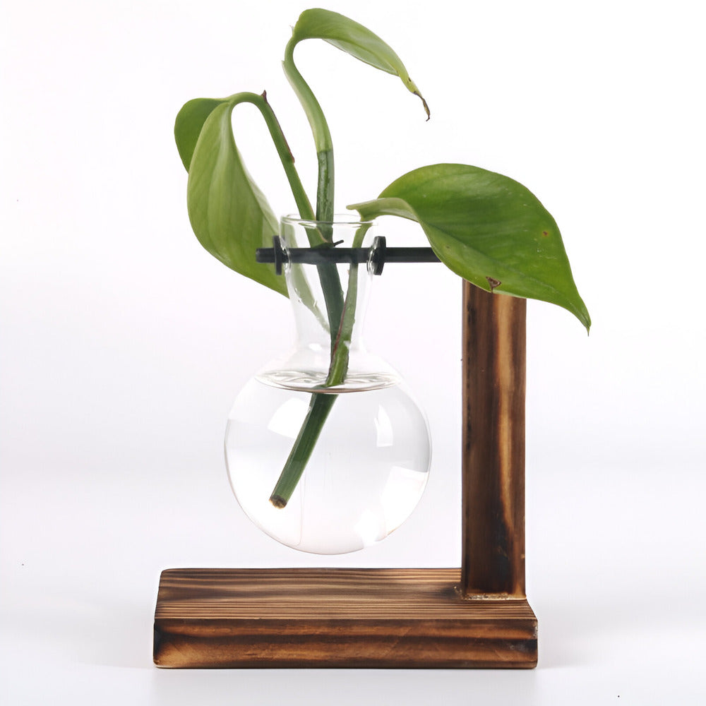 Valethra – Support de Plantes Hydroponique en Bois Rustique