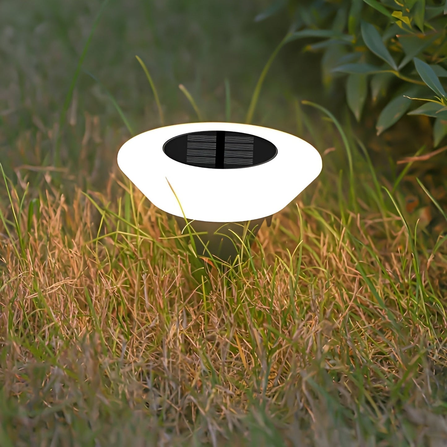 Sean – Lampe de jardin solaire LED pour éclairage extérieur élégant