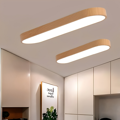 Draco – Lampe de plafond LED ovale en acrylique stylisée