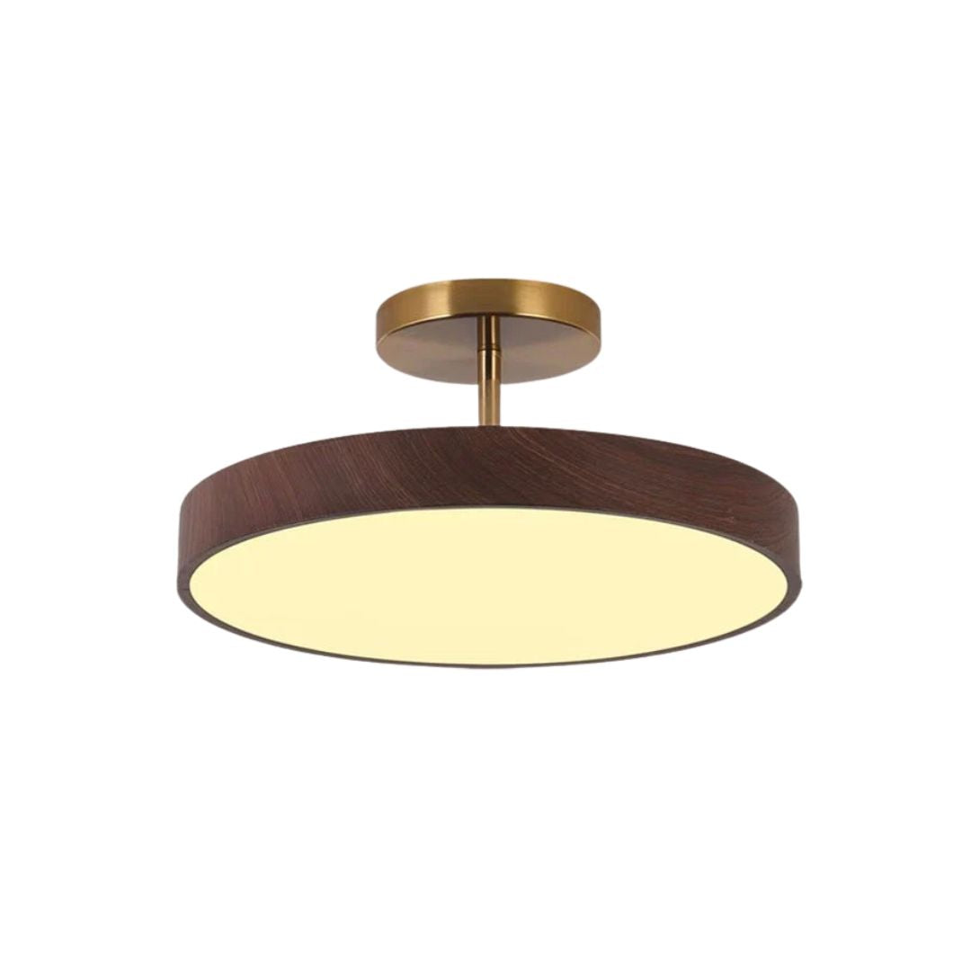 Elowen – Lampe de plafond moderne