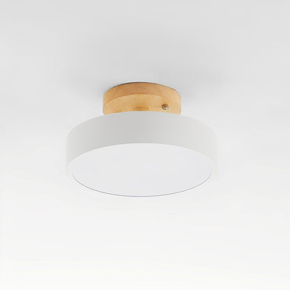 Elayne – Moderne Plafonnier pour Couloir & Espace de Vie
