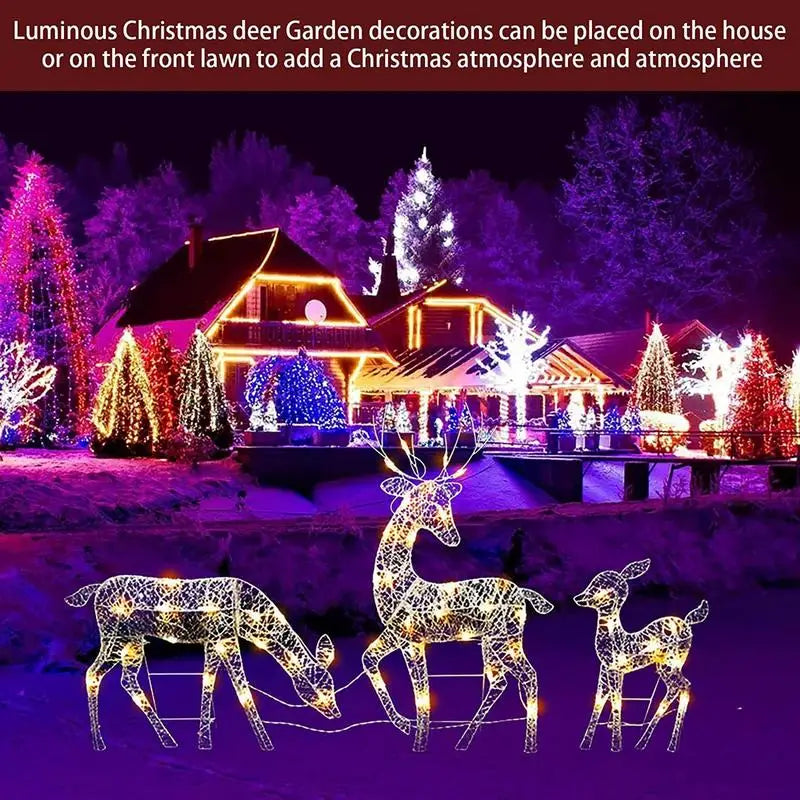 Décoration Lumineuse Extérieure Famille et Amour