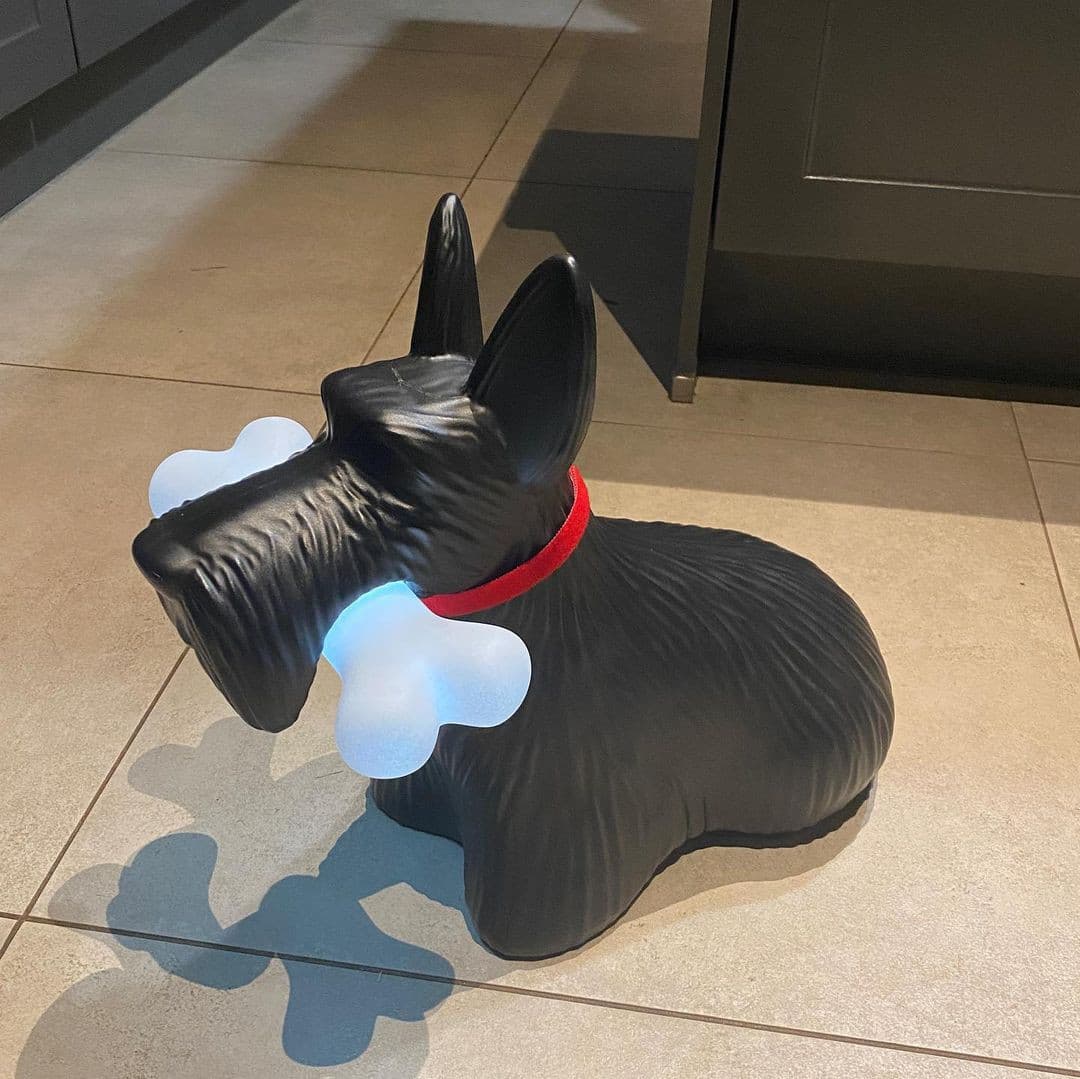 Scottie – Lampe de table en résine