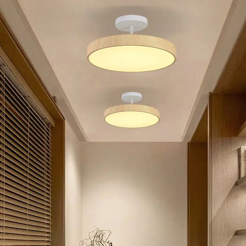 Elowen – Lampe de plafond moderne
