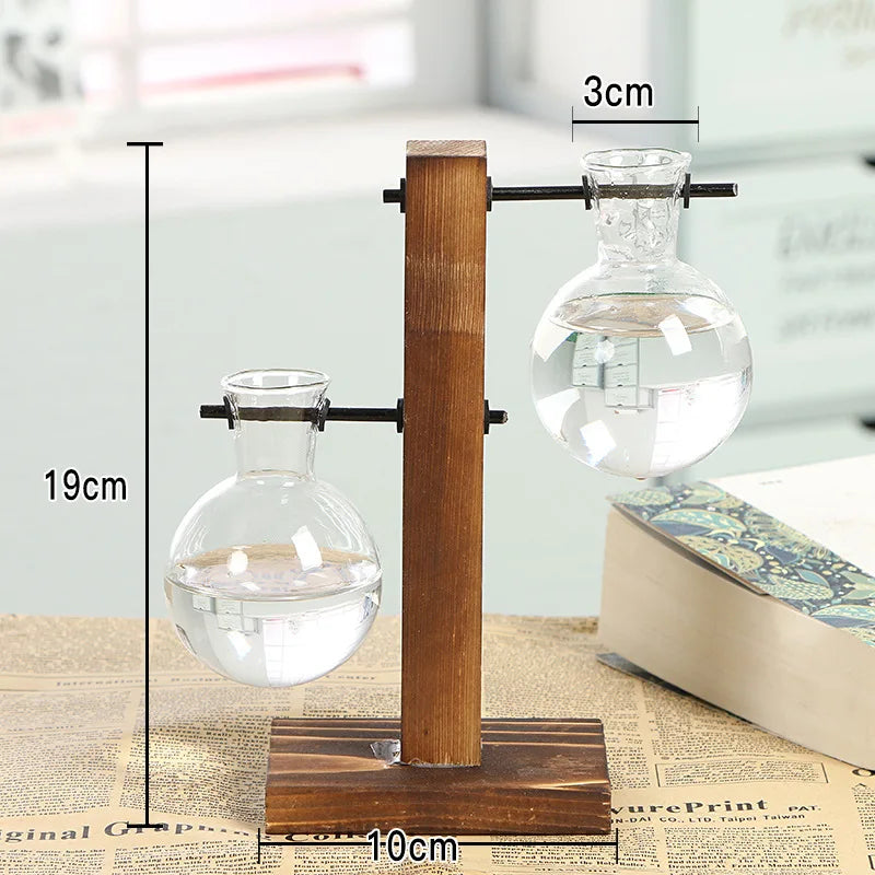 Vase En Verre Et Bois Pour Terrarium