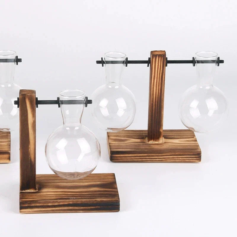 Vase En Verre Et Bois Pour Terrarium