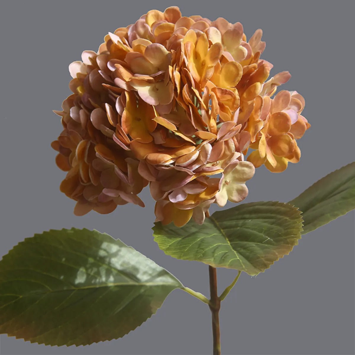 Helena – Fleur d'hortensia 3D