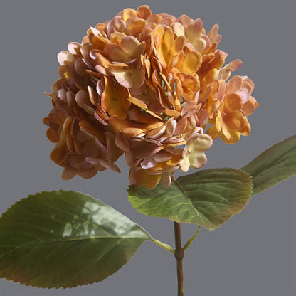 Helena – Fleur d'hortensia 3D