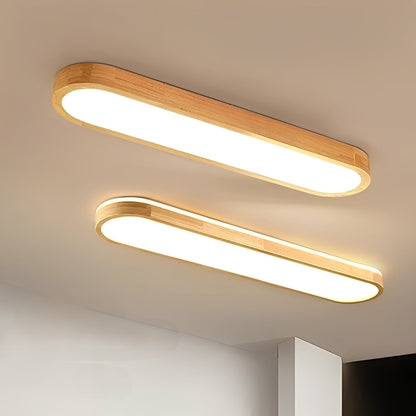 Draco – Lampe de plafond LED ovale en acrylique stylisée