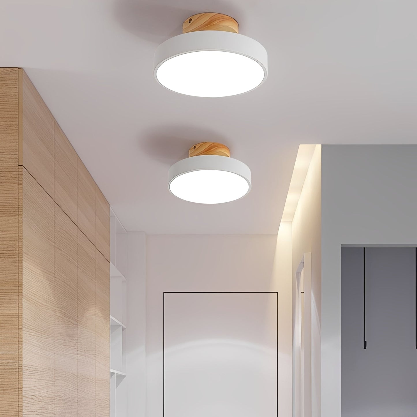 Franz – Lampe de plafond ronde au style minimaliste