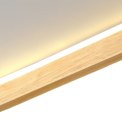 Draco – Lampe de plafond LED ovale en acrylique stylisée